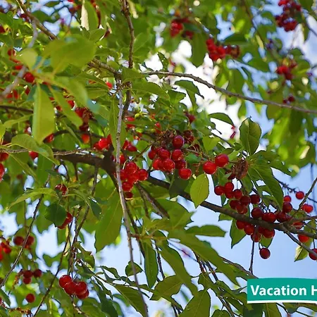 Vacation Alan 2 Kulen Vakuf