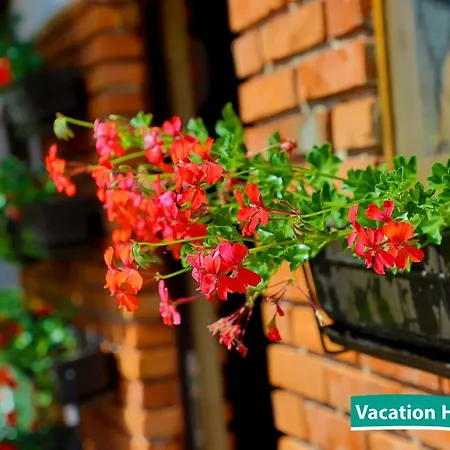 Vacation Alan 2 Kulen Vakuf