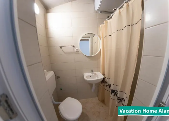 Vacation Alan 2 库伦瓦库夫