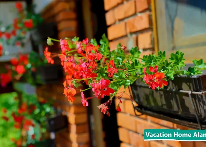 Vacation Alan 2 库伦瓦库夫