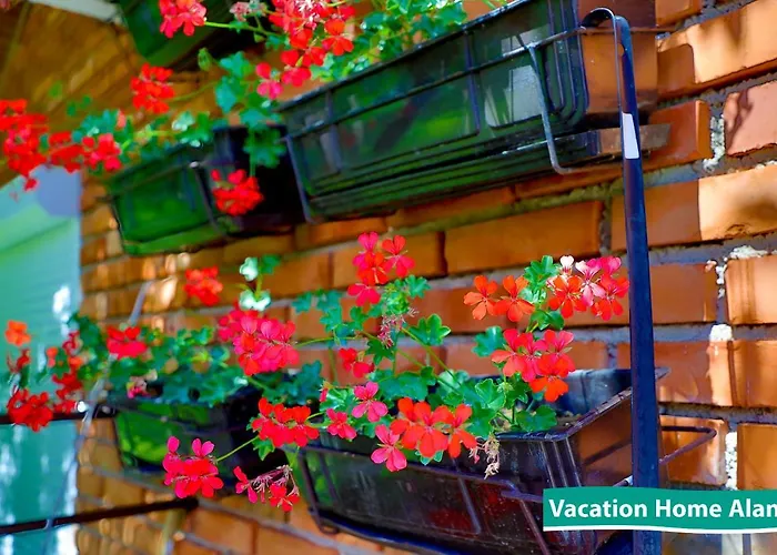 Vacation Alan 2 度假居 *