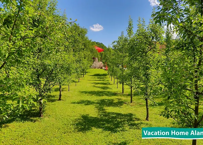 Vacation Alan 2 度假居