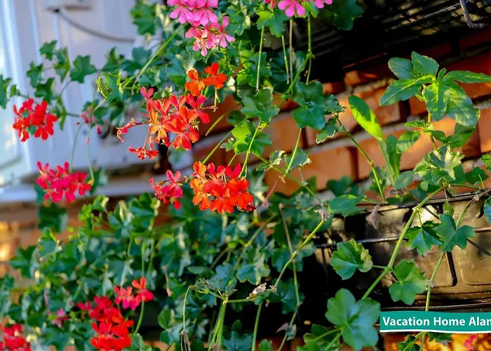 度假居 Vacation Alan 2 *